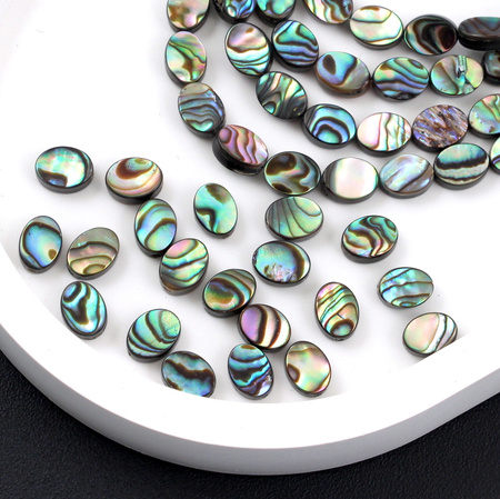 Muszla paua tęczowa owal 8x6mm