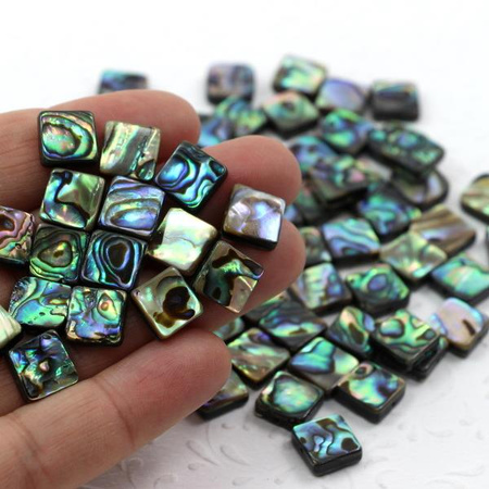 Muszla paua kwadrat 10mm