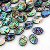 Muszla paua owal 18x13mm