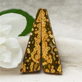 Kaboszony jaspis orbikularny 41x11x4mm [para]