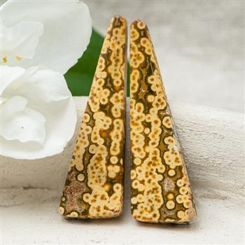 Kaboszony jaspis orbikularny 40x12x4mm [para]