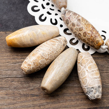 Koral fossil oliwka 41x16mm