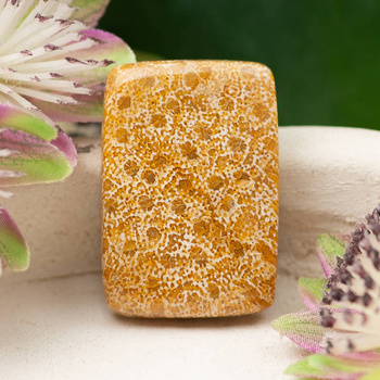 Kaboszon fossil 30x21x6mm