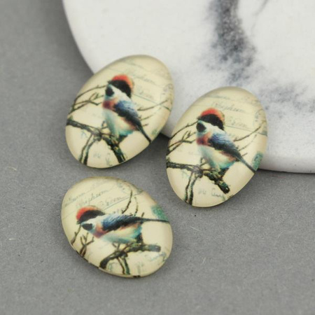 Kaboszon szklany z grafiką owal motyw ptaszka 18x13mm