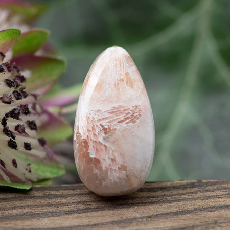 Kaboszon skolecyt 24x13x7mm