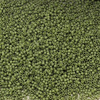 Miyuki Delica 11/0 Opaque Olivine Matted [5g]