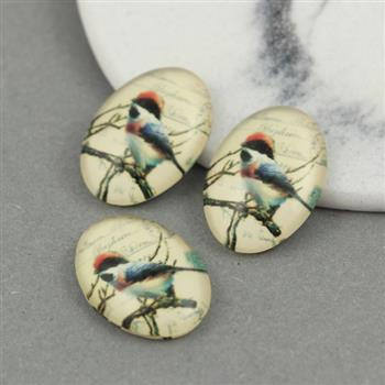 Kaboszon szklany z grafiką owal motyw ptaszka 18x13mm