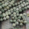 Jaspis zielony sosnowy kula gładka 8mm