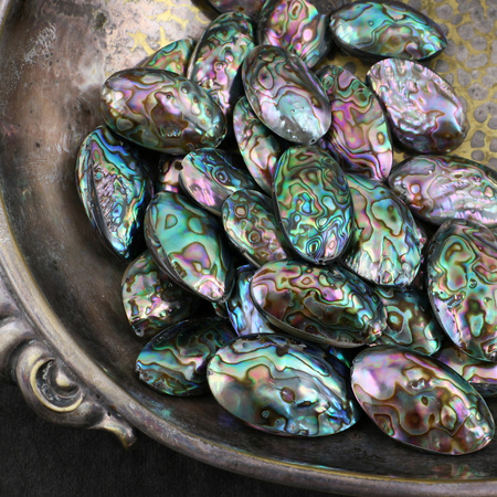 Muszla paua abalone owal 32-37mm