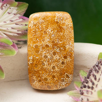 Kaboszon fossil 35x21x6mm