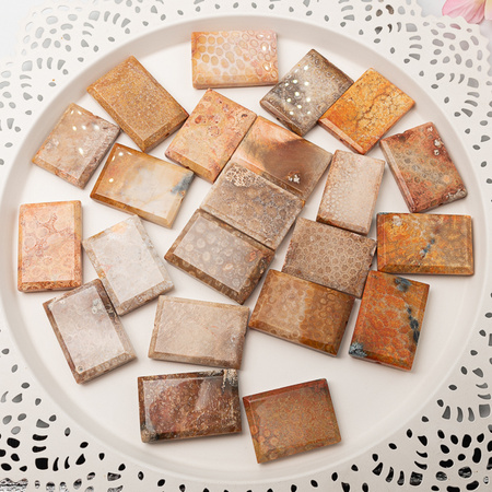 Koral fossil tabliczka prostokąt 50x34mm