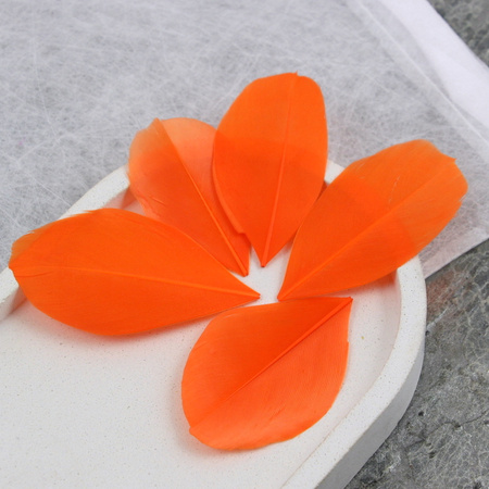 Naturalne pióro pomarańczowe 6x3cm [10szt]