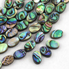 Muszla paua owal 12x8mm