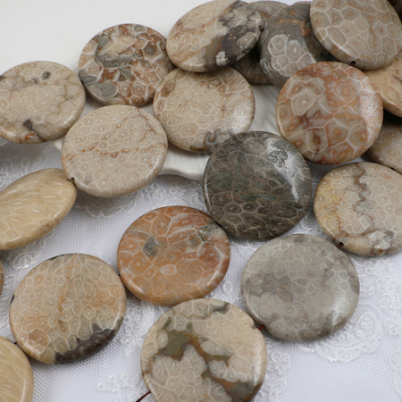 Fossil moneta gładka 40mm