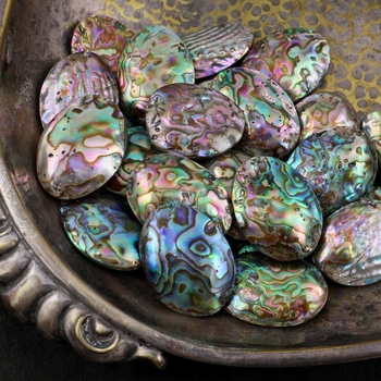 Muszla paua abalone owal 35-38mm