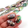 Muszla paua mały owal 25x15mm