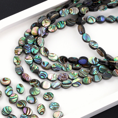Muszla paua tęczowa owal 8x6mm