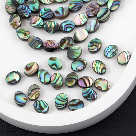 Muszla paua tęczowa owal 8x6mm