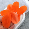 Naturalne pióro pomarańczowe 6x3cm [10szt]