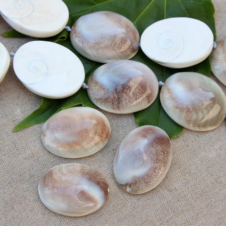 Muszla wypukłe owale - połówki 37x30mm