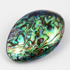 Muszla paua abalone duży owal - zawieszka 58-60mm