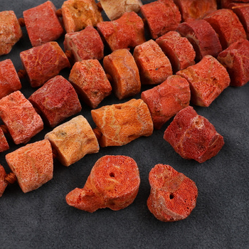 Koral filipiński korzeń 21x18mm