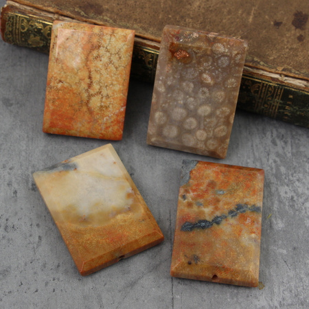 Koral fossil tabliczka prostokąt 50x34mm