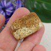 Kaboszon fossil 29x19x6mm