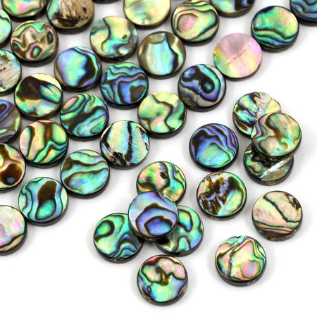 Muszla paua tęczowa moneta 12mm