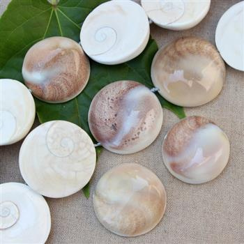 Muszla wypukłe monety - połówki 35mm