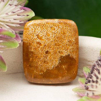 Kaboszon fossil 30x26x5mm