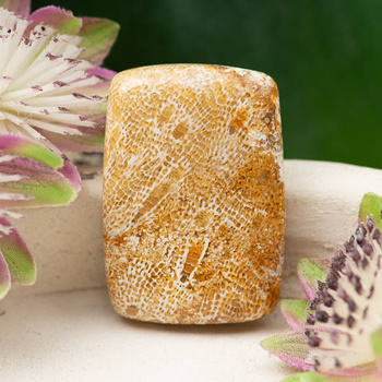 Kaboszon fossil 34x24x6mm