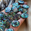 Kaboszon muszla paua tęczowa owal 25x18mm