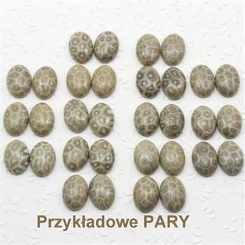 Kaboszon fossil 18x13mm [para]