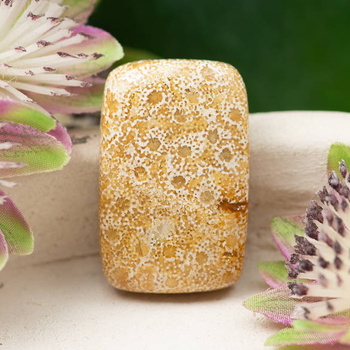 Kaboszon fossil 29x19x7mm