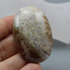 Kaboszon fossil owal 54x38mm