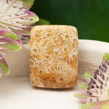 Kaboszon fossil 28x22x6mm