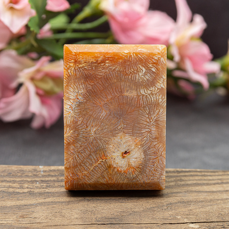 Koral fossil tabliczka prostokąt 50x35mm