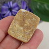 Kaboszon fossil 33x25x5mm