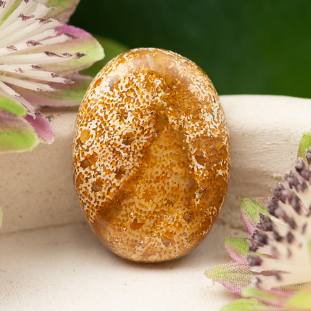 Kaboszon fossil 29x22x6mm