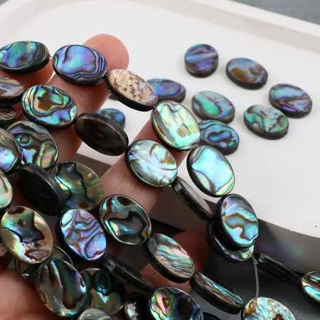 Muszla paua owal 16x12mm