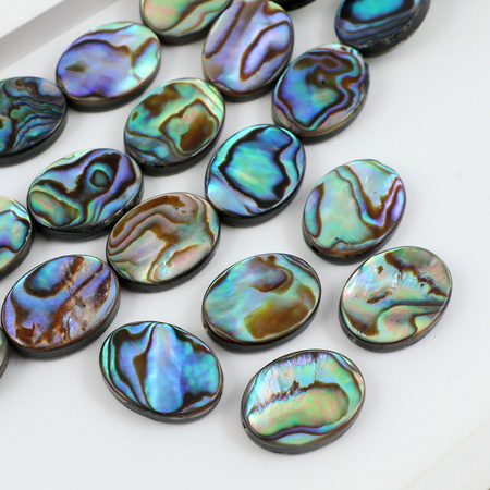 Muszla paua owal 16x12mm