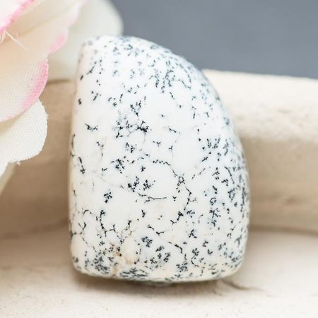 Kaboszon agat dendrytowy 25x18x8mm