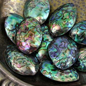 Muszla paua abalone duży owal - zawieszka 57cm