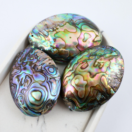 Muszla paua abalone duży owal - zawieszka 57cm