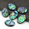 Kaboszon muszla paua tęczowa owal 25x18mm