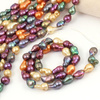 Perła słodkowodna baroque multikolor 13x8mm