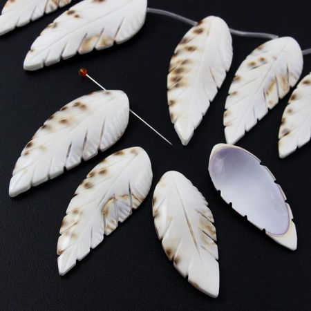 Muszla rzeźbione piórko w plamki 40-58mmmm