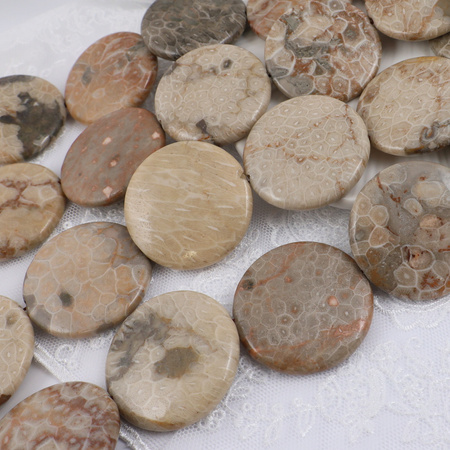 Fossil moneta gładka 40mm