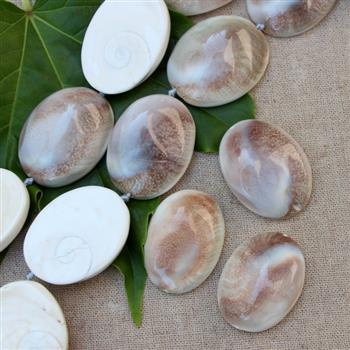 Muszla wypukłe owale - połówki 37x30mm